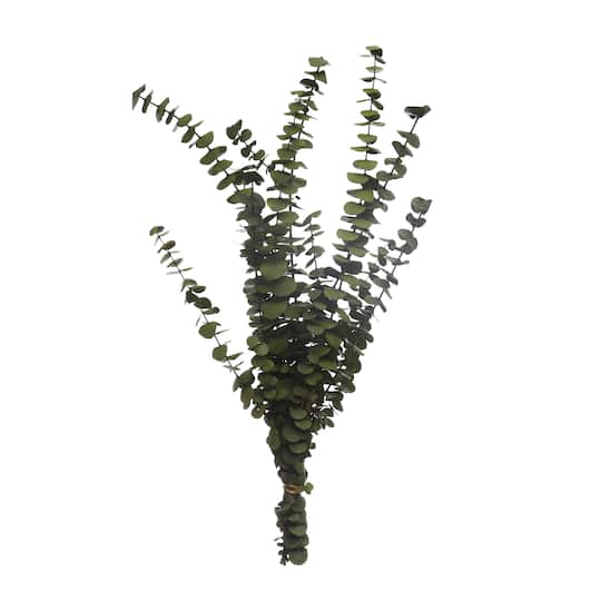 Kelly Green Dried Eucalyptus Bundle by Ashland®